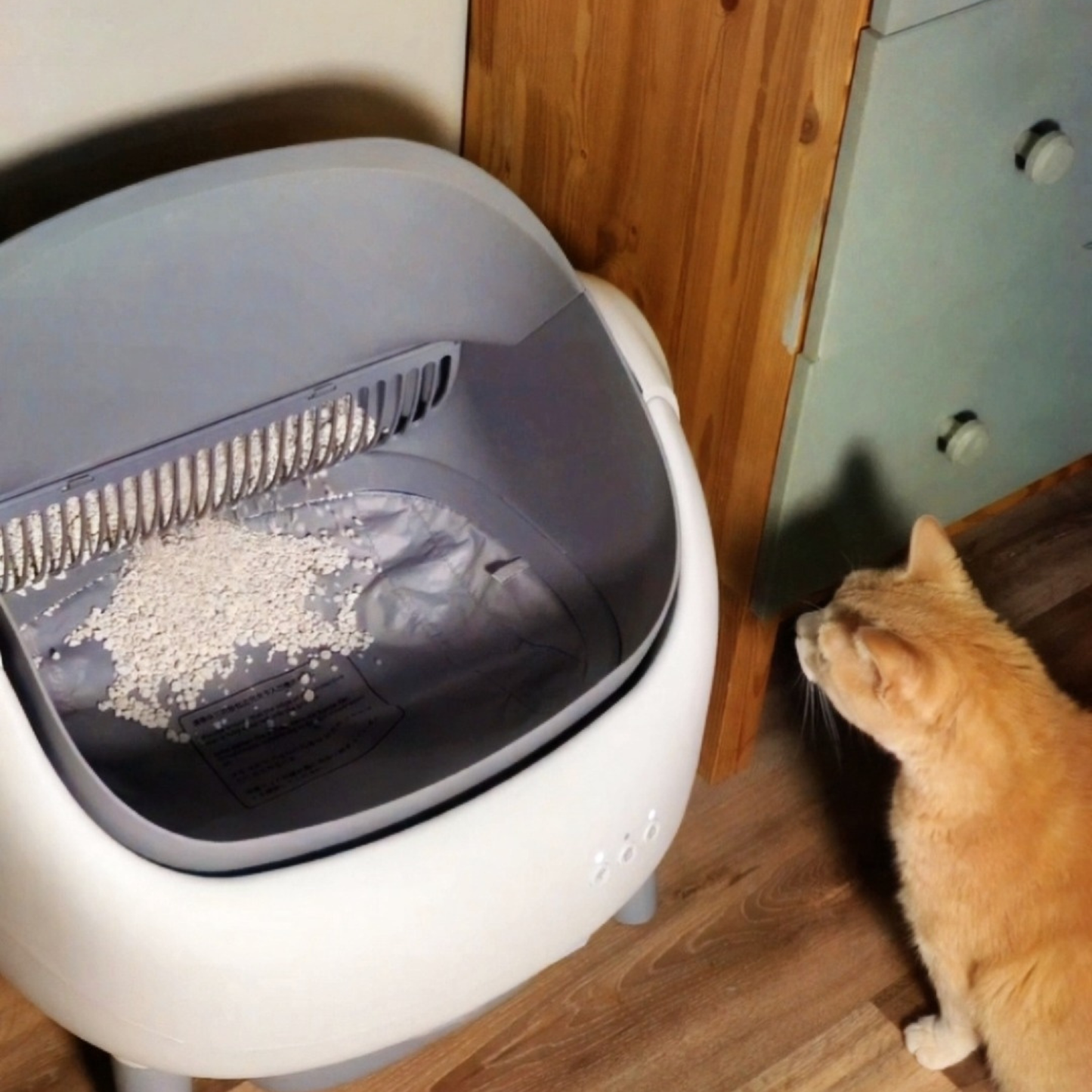 Litière autonettoyante chat NEKŌA SORA | Silencieuse | Sécurisée | 65L
