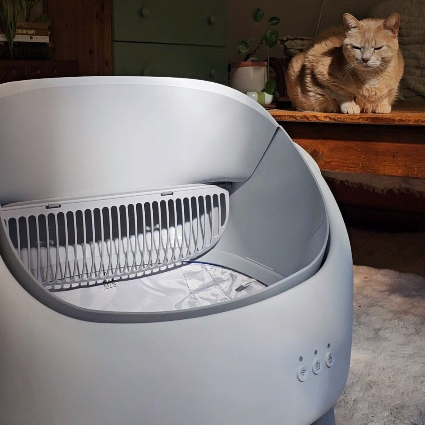 Litière autonettoyante chat NEKŌA SORA | Silencieuse | Sécurisée | 65L