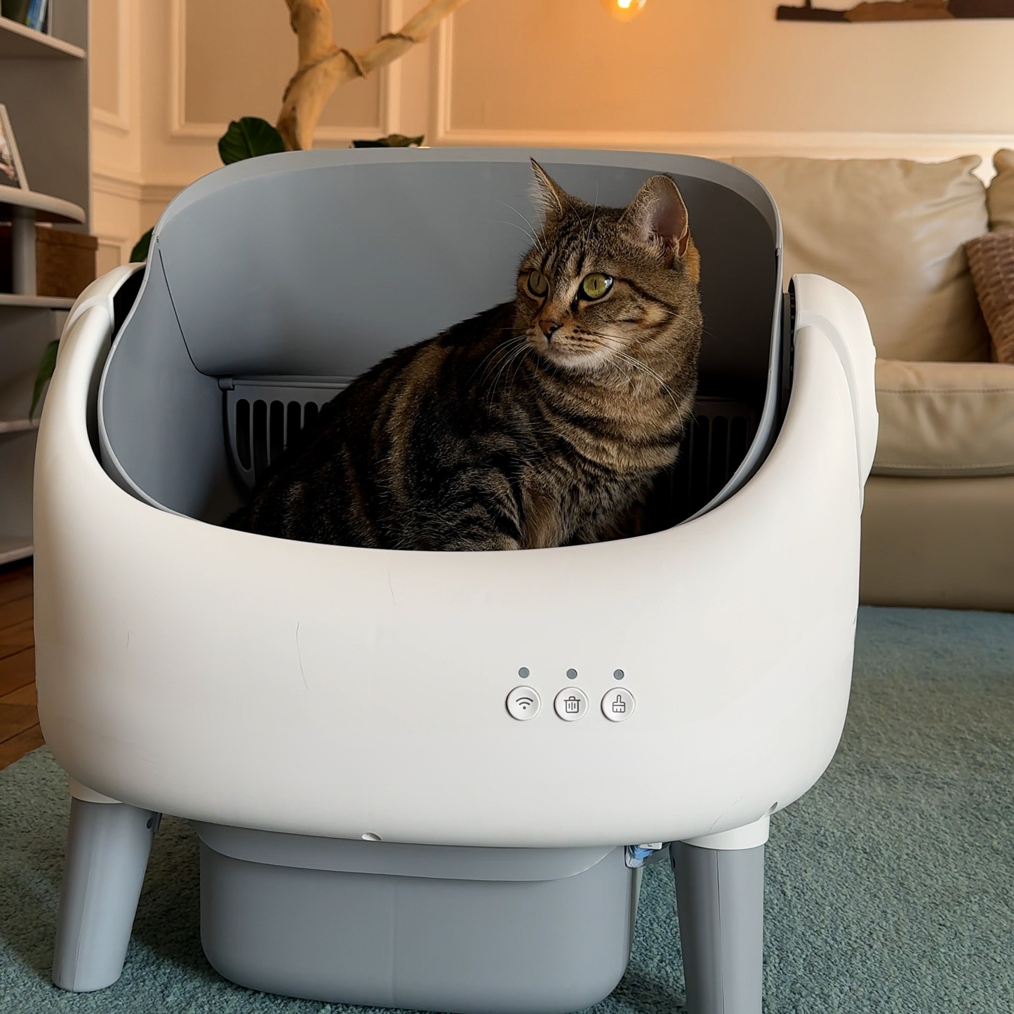 Litière autonettoyante chat NEKŌA SORA | Silencieuse | Sécurisée | 65L